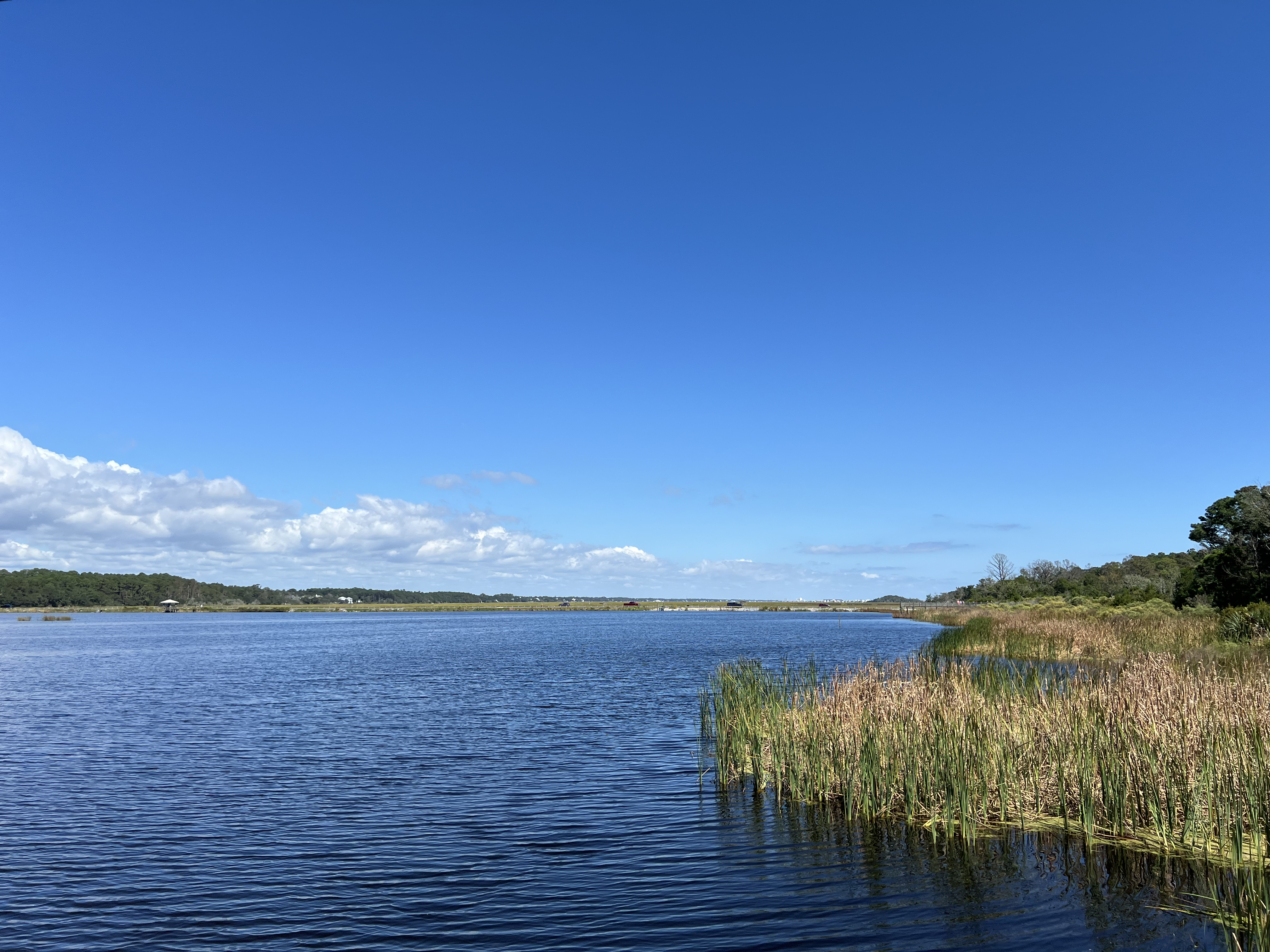 ./2024/10 - Myrtle Beach/IMG_2894.jpg